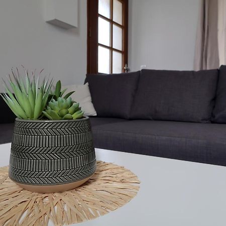 Clermont Centre- Appartement Prive Eksteriør bilde